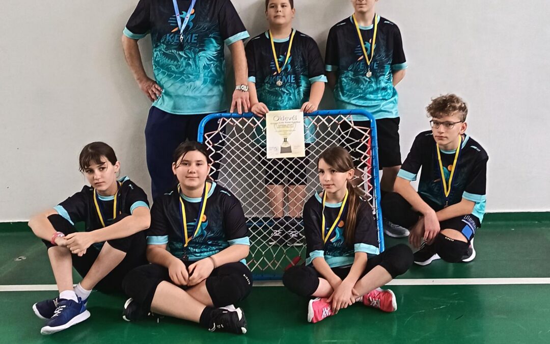 Tchoukball siker